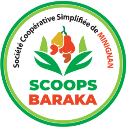 cropped-logo-scoop-baraka.png